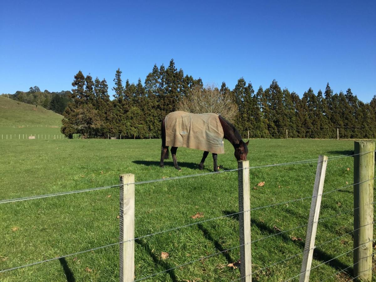 Veld View Bed And Breakfast Tuakau Экстерьер фото