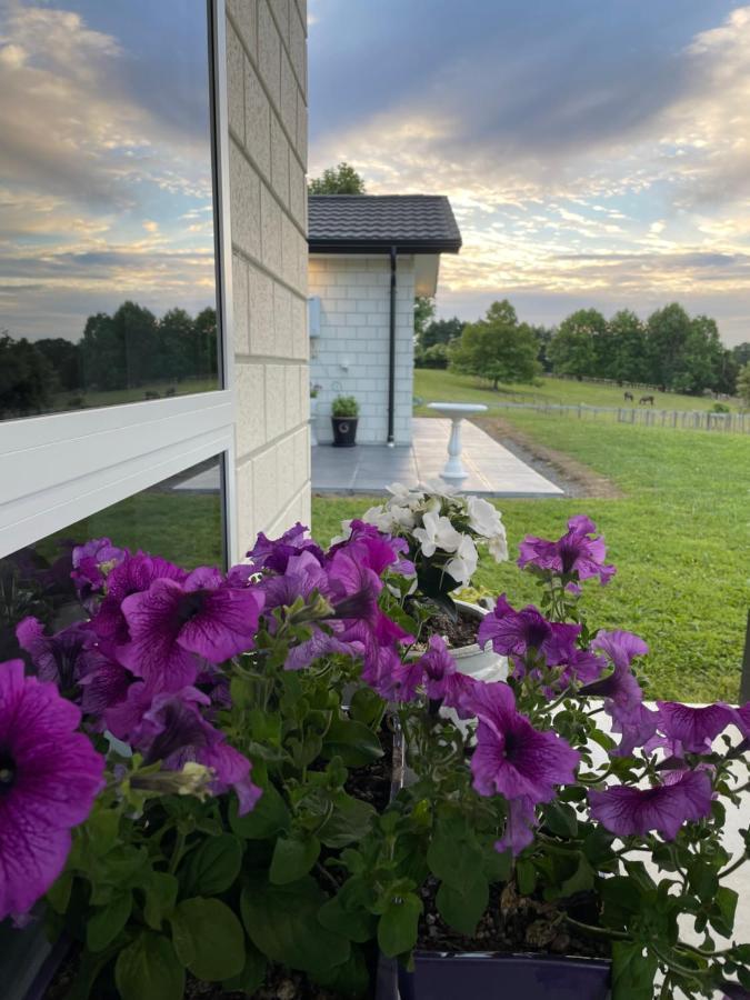 Veld View Bed And Breakfast Tuakau Экстерьер фото