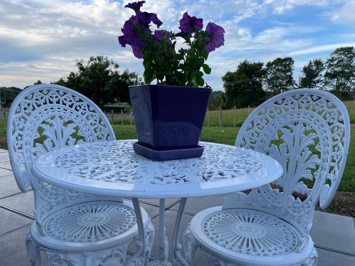 Veld View Bed And Breakfast Tuakau Экстерьер фото