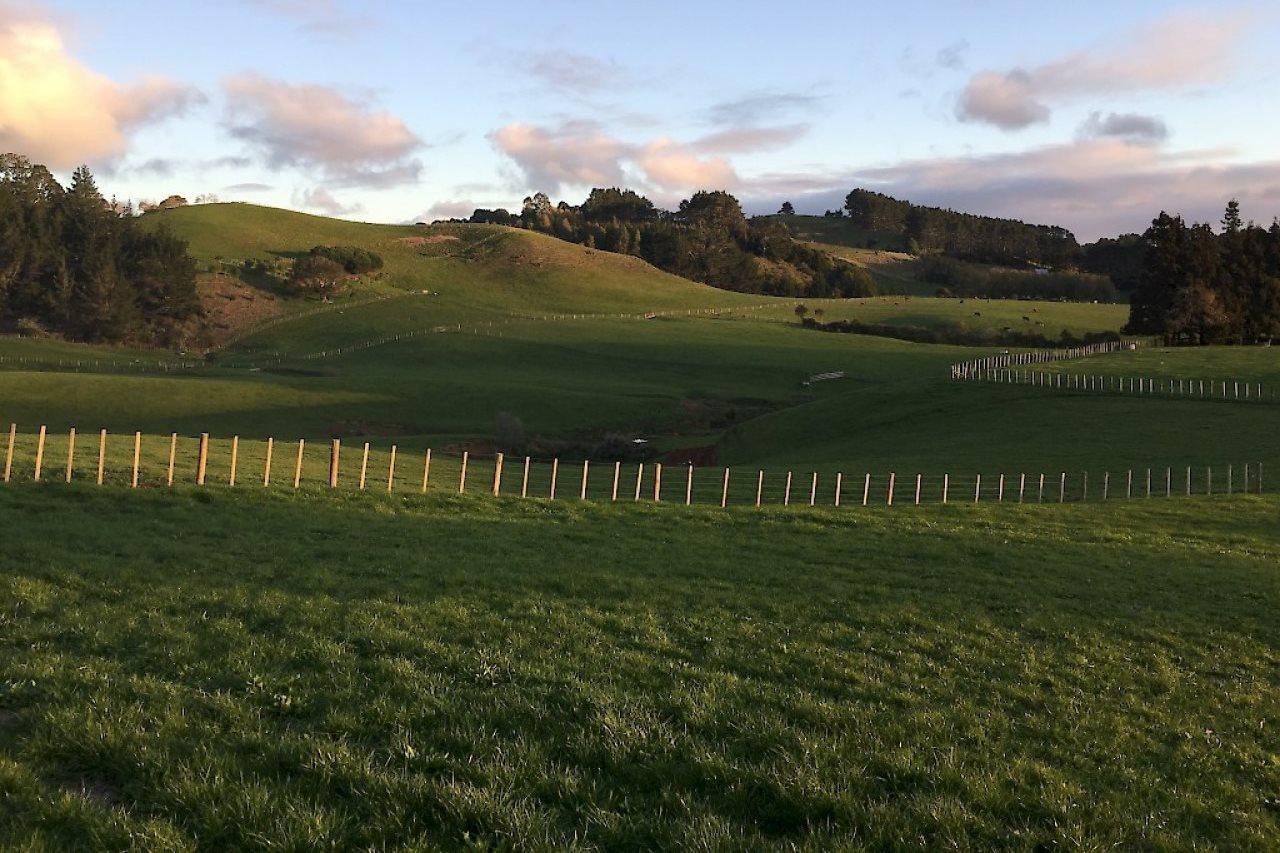 Veld View Bed And Breakfast Tuakau Экстерьер фото